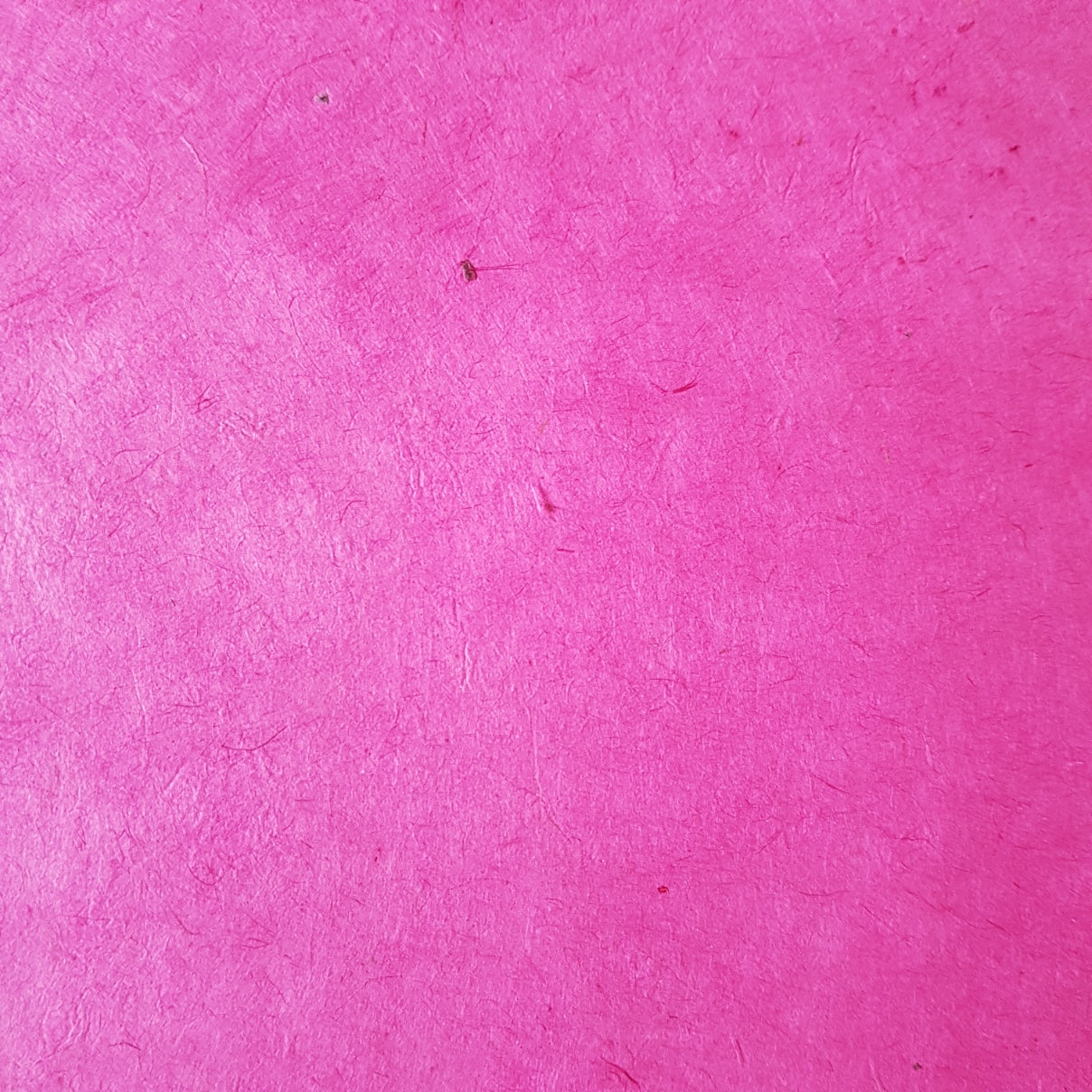 Lokta bundle in Twilight: Eight large sheets.