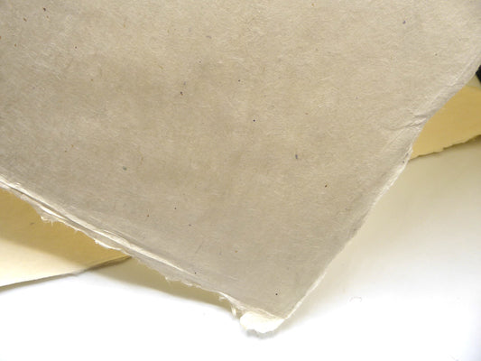 What is Lokta Paper? Everything Crafters Need to Know