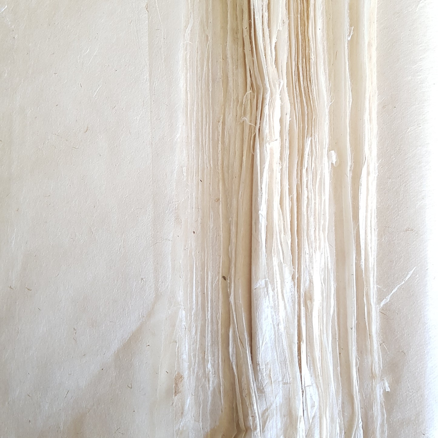 Lokta Paper Bundle - All the Nature Collection - 19 Large Sheets