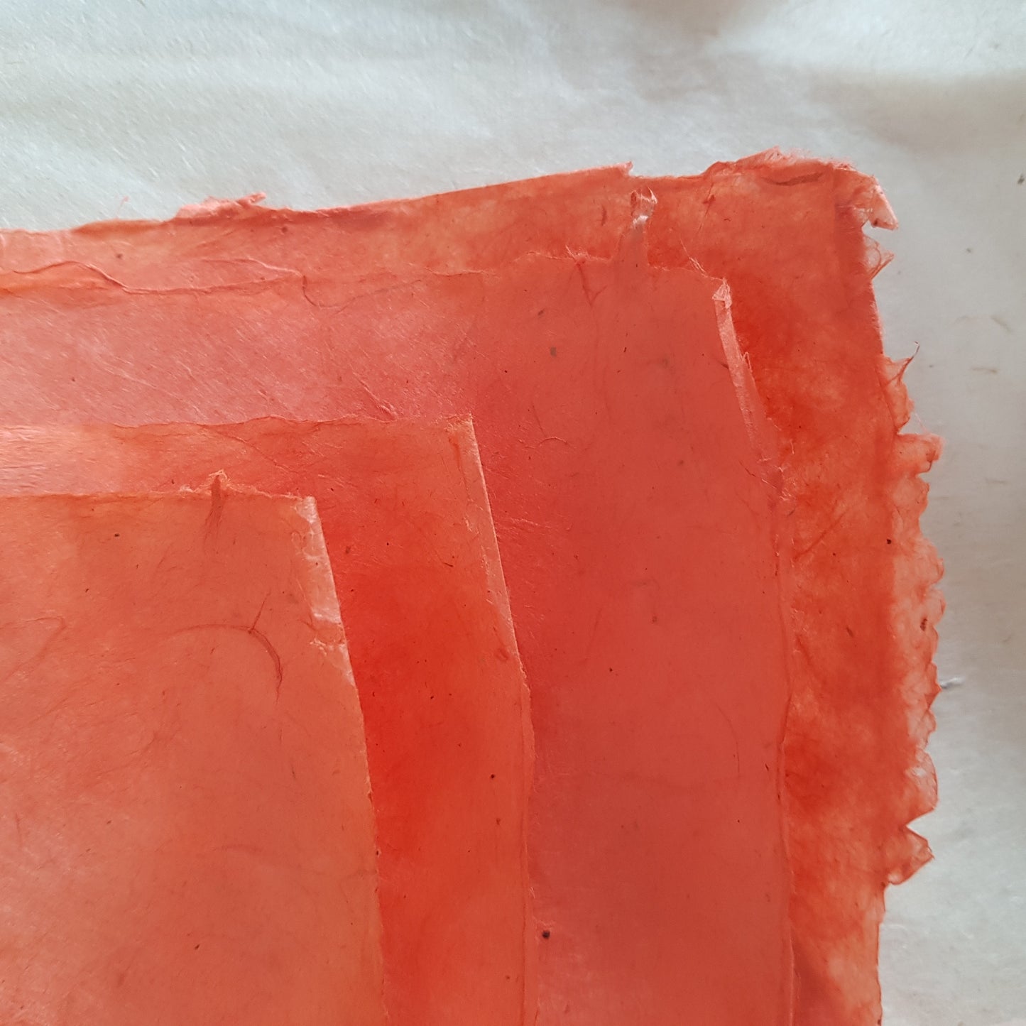 Lokta bundle in Autumn Drama: Ten large sheets.