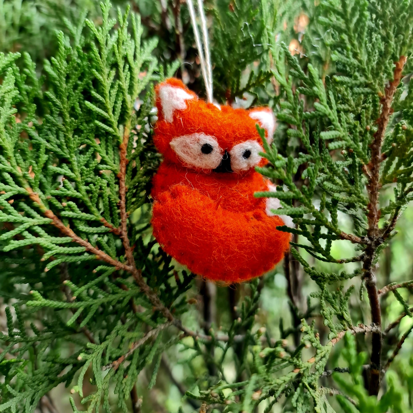 Mr. Felt Fox with Hanging Thread.