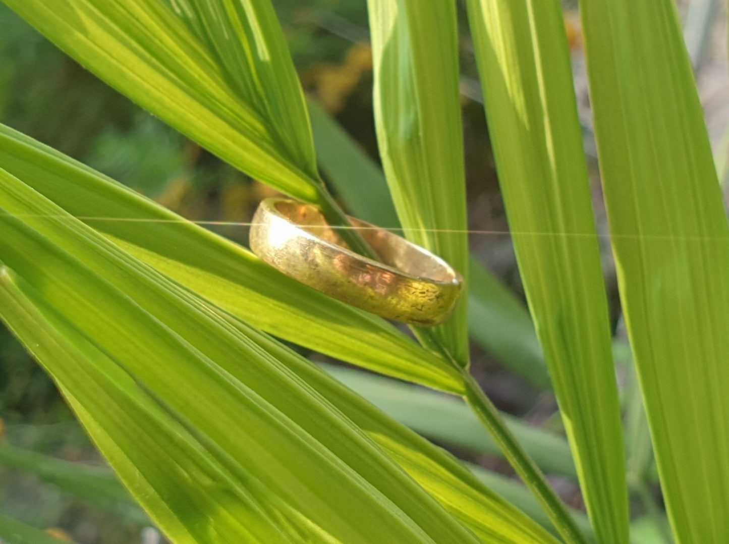 Five Metal, Panchdhatu Ring