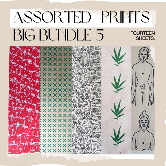 Lokta Paper -  Assorted Bundle (5) - 14 Large Sheets