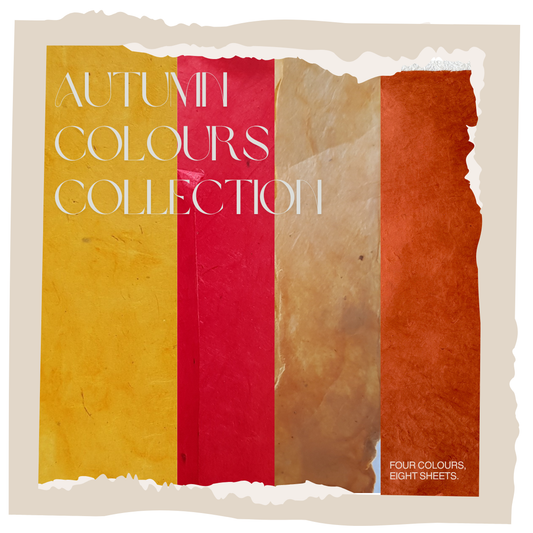 Lokta bundle in Autumn Colours: Eight large sheets.