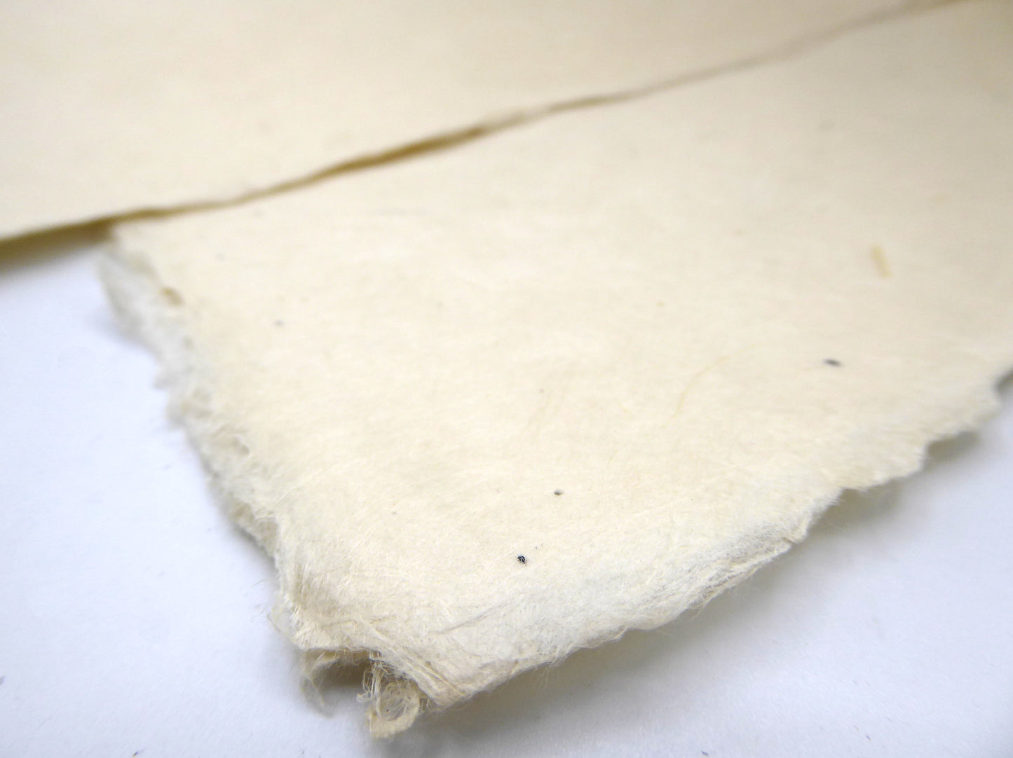 Lokta bundle in Meadow Shades : Ten large sheets.