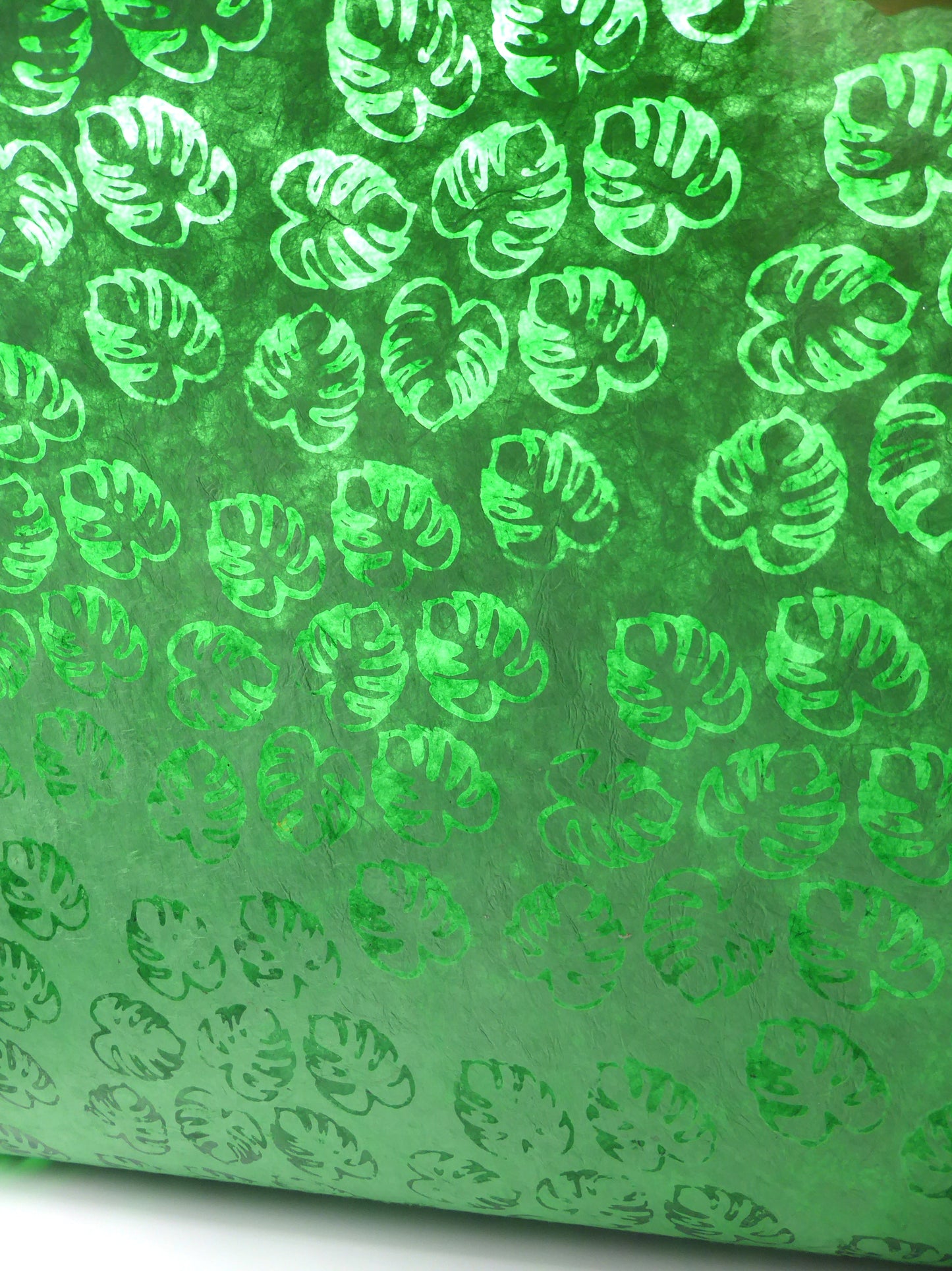 Lokta Paper -  Assorted Bundle (5) - 14 Large Sheets