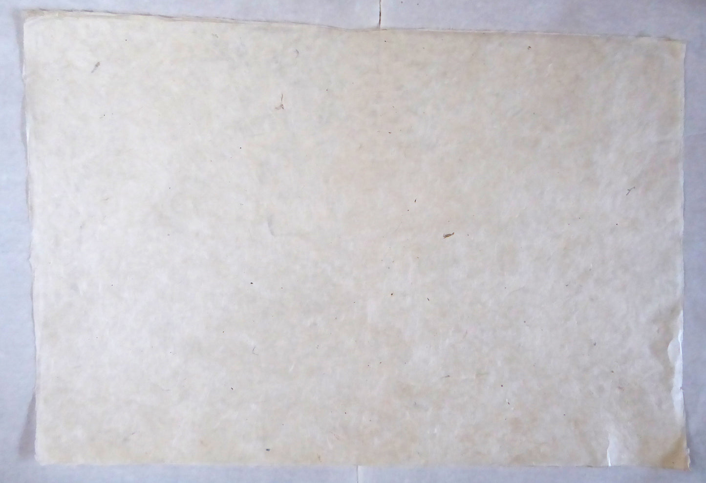 Lokta Paper - Big Bundle - Colours 2 - 16 Sheets