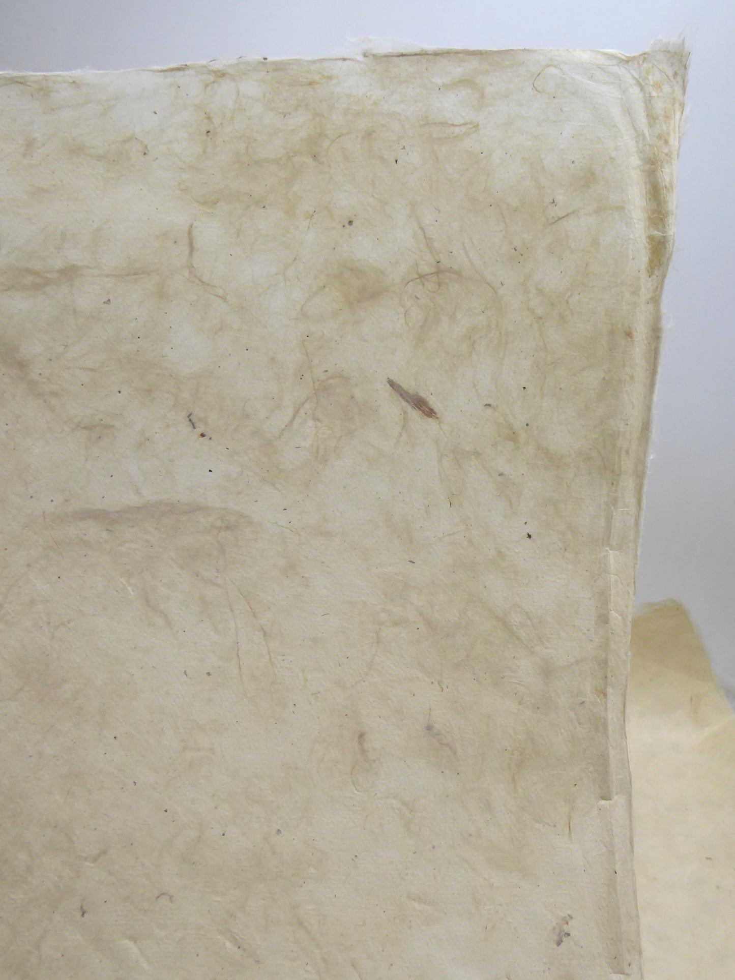 Lokta Paper Bundle - The Waxed & Wrinkled Collection - 13 Large Sheets