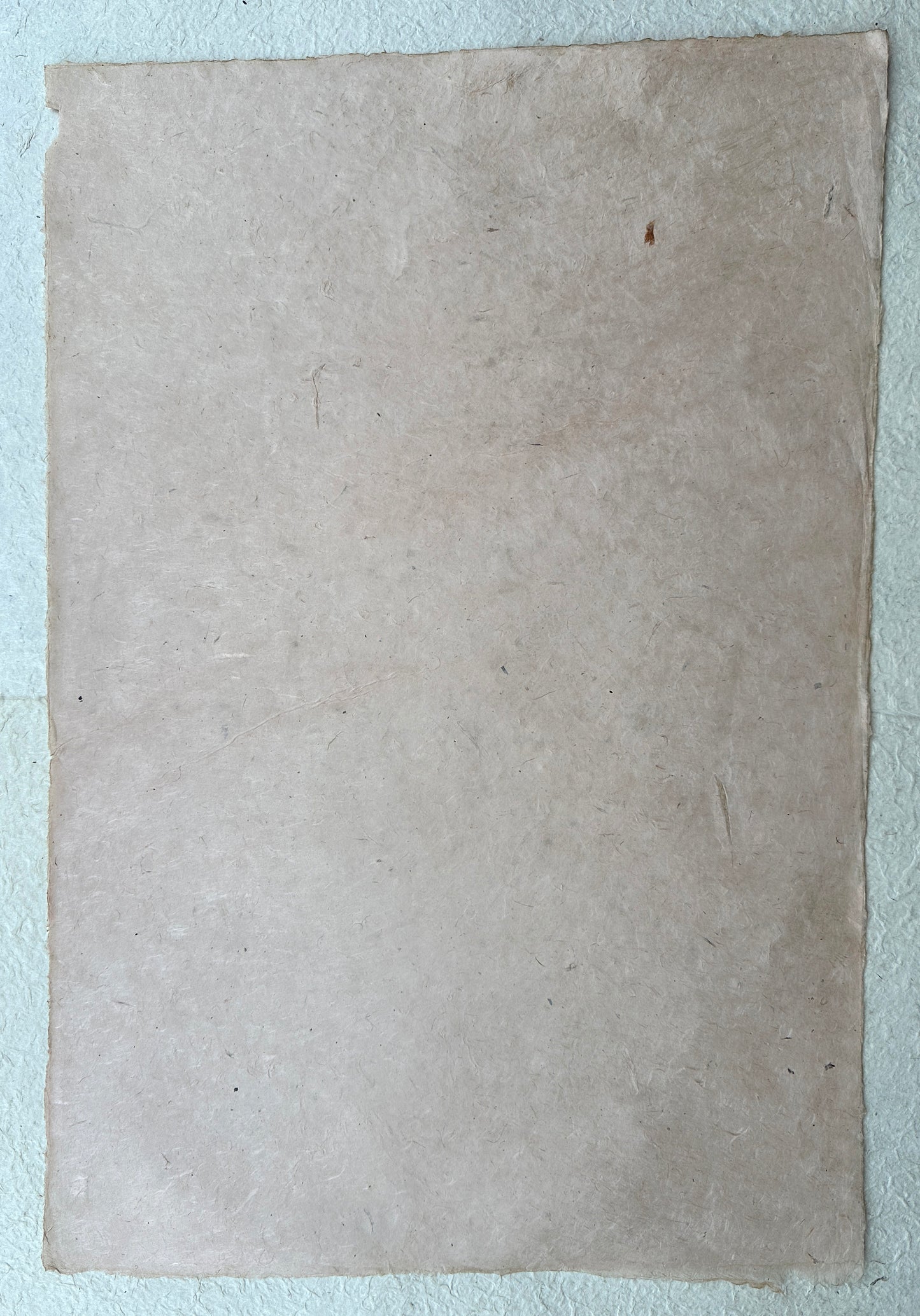 Lokta bundle in Autumn Colours: Eight large sheets.