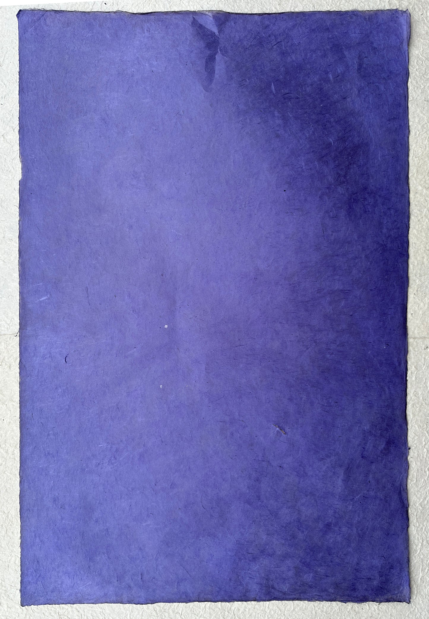 Lokta bundle in Twilight: Eight large sheets.