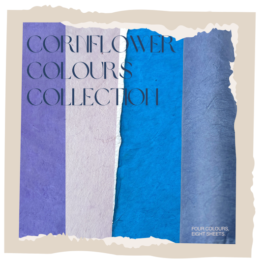 Lokta bundle in Cornflower Colours: Eight large sheets.