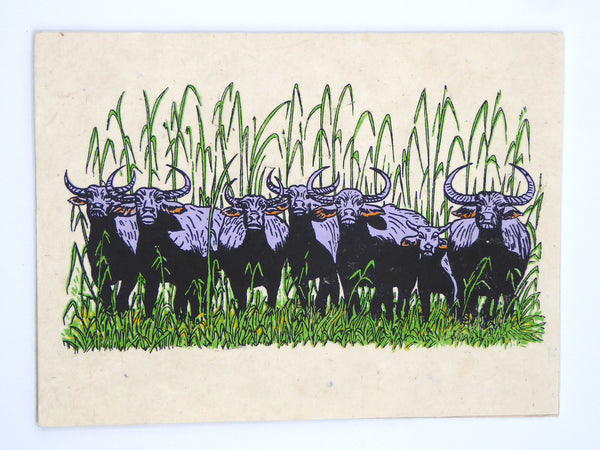 Handmade Lokta Greeting Card, Water Buffaloes