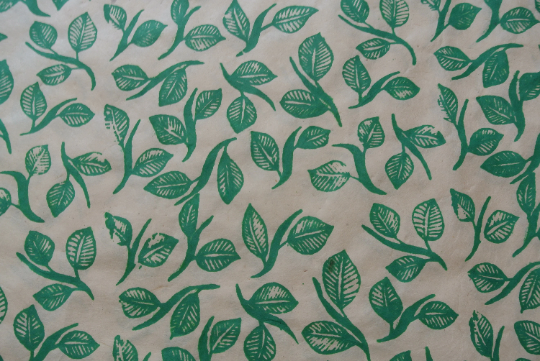 Light Green Leaf Sketch Print on Lokta Paper, Tree Free & Sustainable
