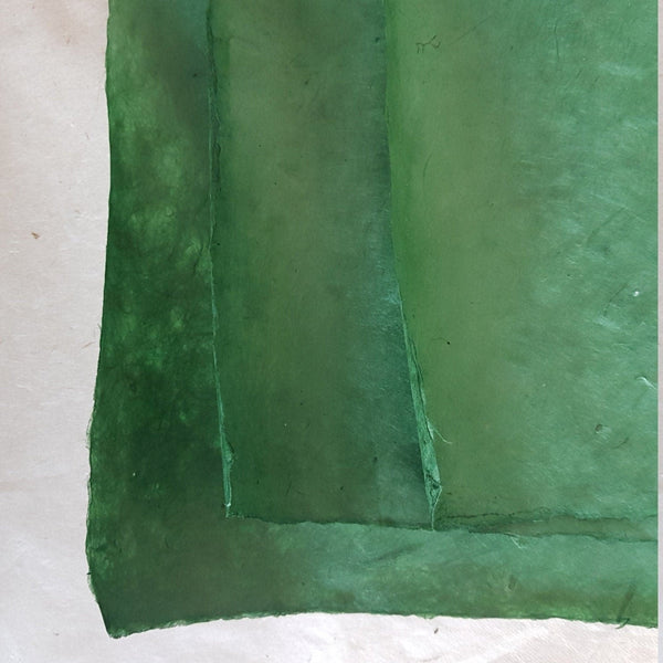 Evergreen Lokta Paper Handmade in the Himalayas 60-80GSM