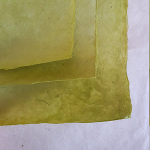 Split Pea Lokta Paper Handmade in the Himalayas 60-80GSM