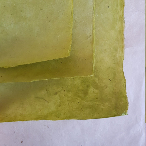 Split Pea Lokta Paper Handmade in the Himalayas 60-80GSM