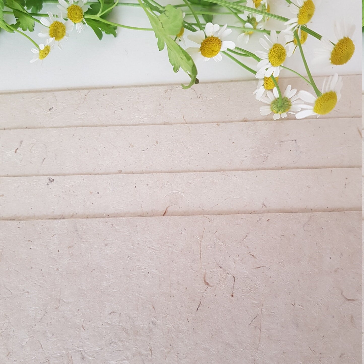 A4 Nettle & Lokta Paper ,160gsm