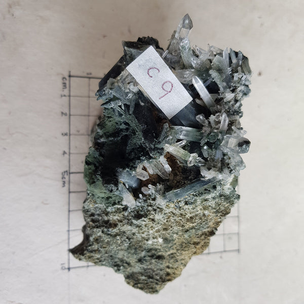 Chlorite Quartz Crystal Cluster from Ganesh Himal, Nepal. Himalayan Green Phantom Quartz. 472gram. Very Rare