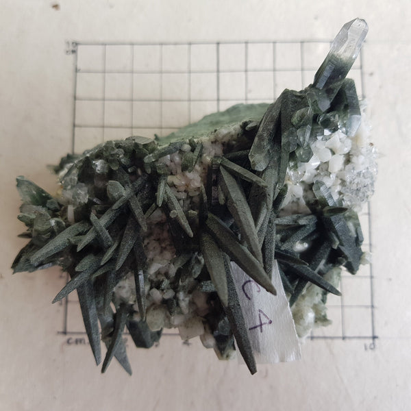 Chlorite Quartz Crystal Cluster from Ganesh Himal, Nepal. Himalayan Green Phantom Quartz. 351gram. Very Rare