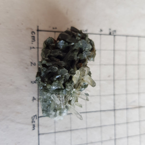 Chlorite Quartz Crystal Cluster from Ganesh Himal, Nepal. Himalayan Green Phantom Quartz. 37gram. Very Rare