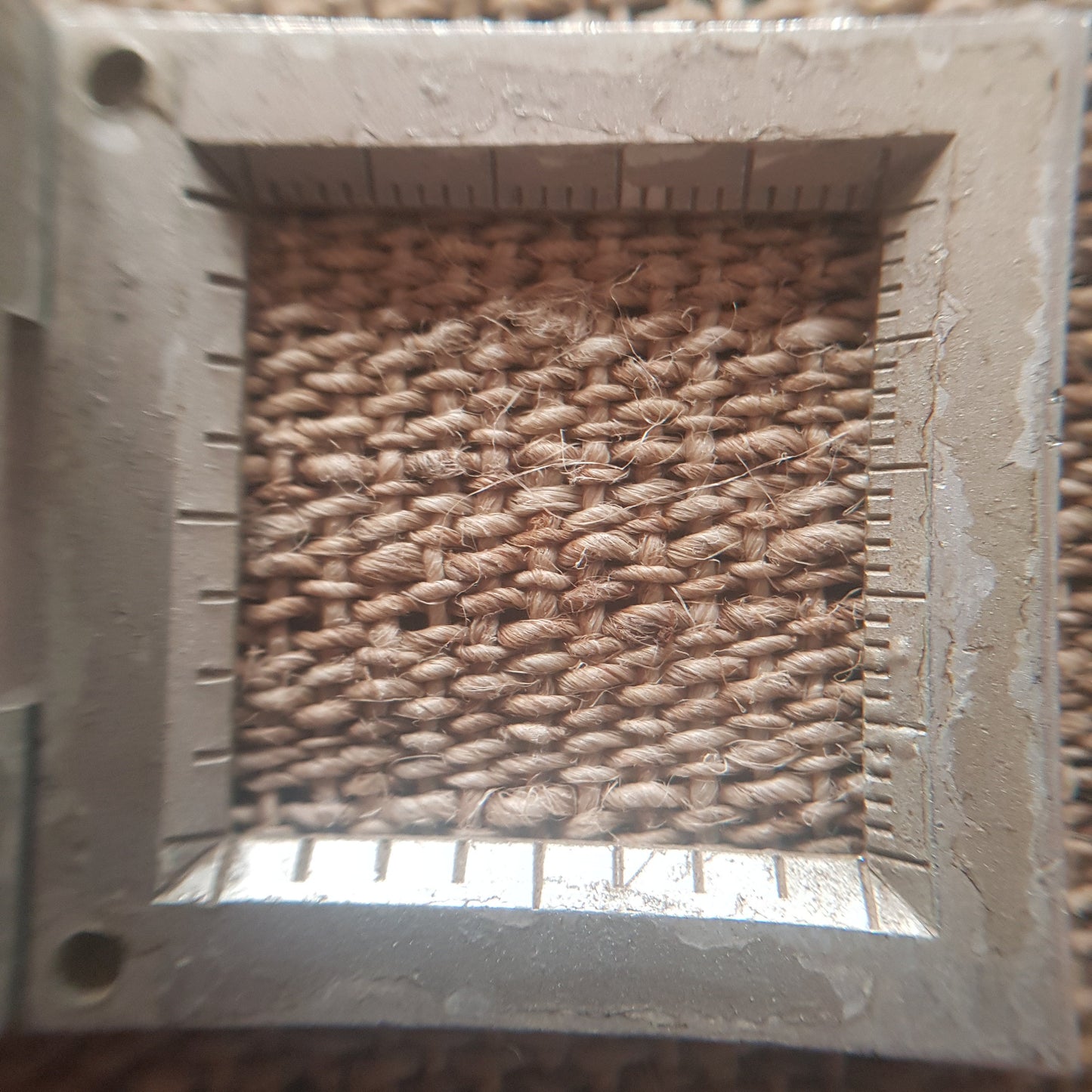 Giant Himalayan Nettle Natural Fabric