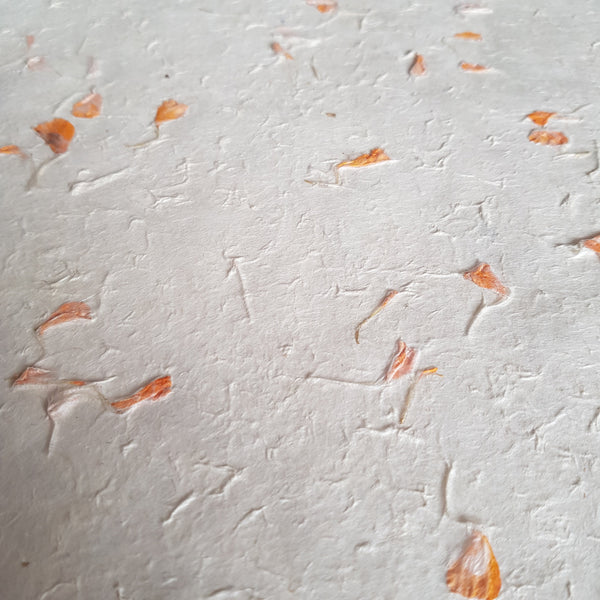 Marigold Petal Lokta Paper; Tree Free & Sustainable