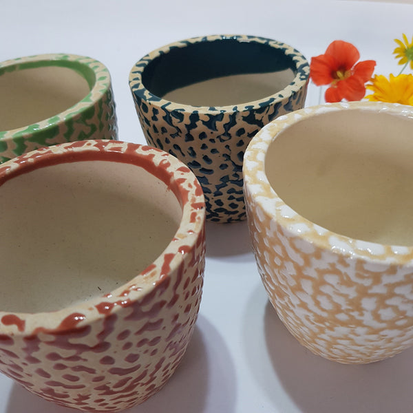 Indoor Glazed Ceramic Plant Pot