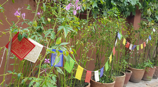 Lokta Paper Prayer Flags, The Wind Horse.